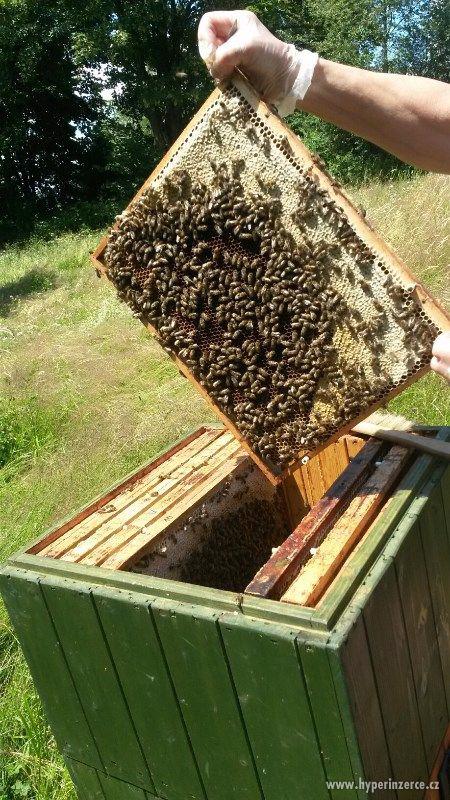 Mariánskolázeňský med vlastnoručně vytáčený - foto 1
