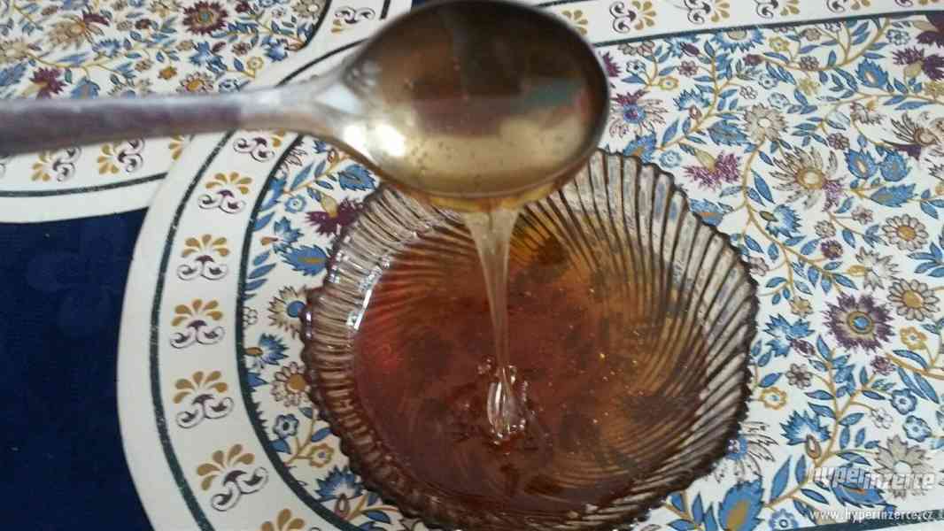 Mariánskolázeňský med vlastnoručně vytáčený - foto 3