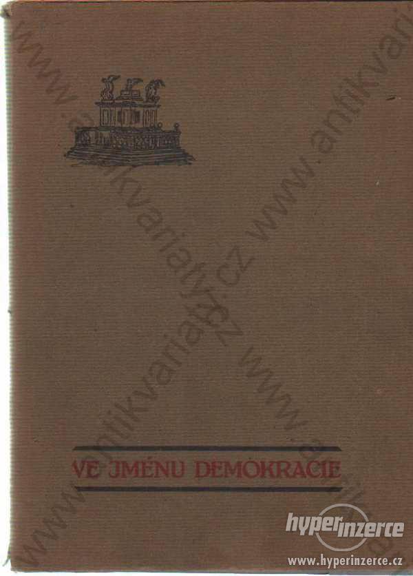 Ve jménu demokracie - foto 1
