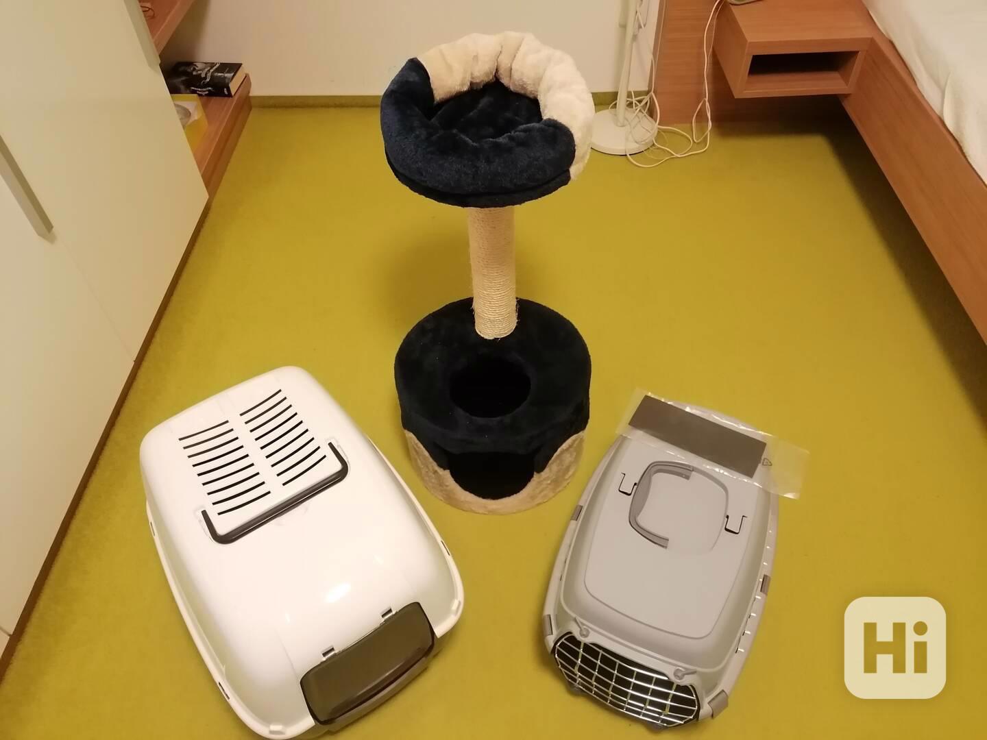 Vybavení pro kočičí mazlíčky - foto 1