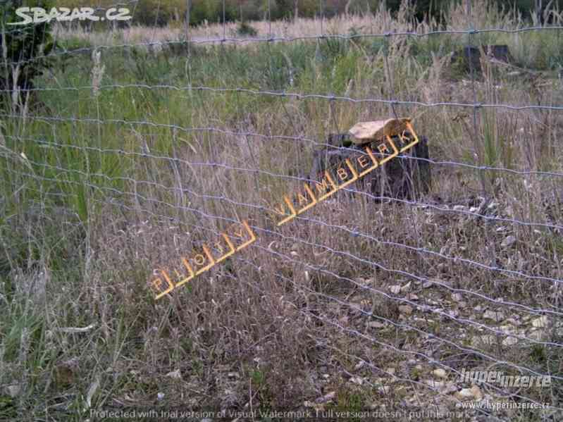 Lesní, Ovčí pletiva - foto 2