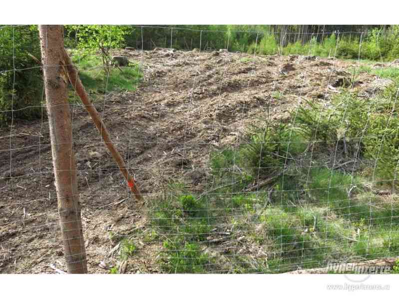 Lesní, Ovčí pletiva - foto 3