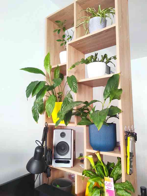 Byt 2+kk na prodej v Sunny Day 6, Bulharsko - foto 13