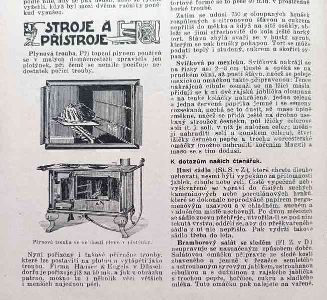 Starožitný časopis Šťastný domov, kompletní ročník 1921  - foto 14