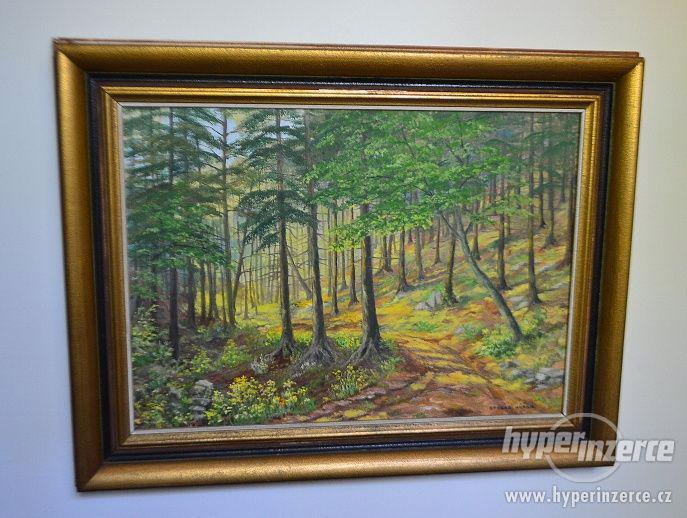 Nabídka obraz - Otakar Hůrka /lesní zátiší/ - foto 1