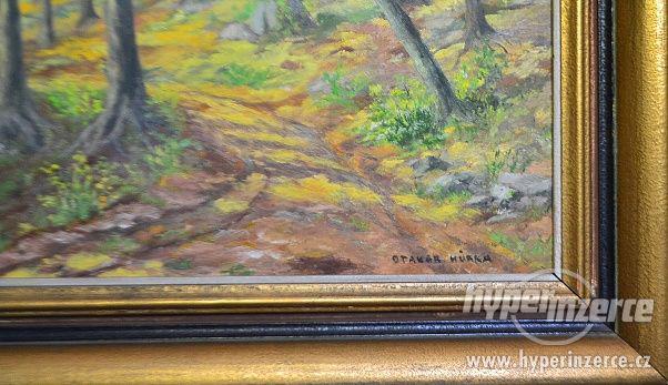 Nabídka obraz - Otakar Hůrka /lesní zátiší/ - foto 3
