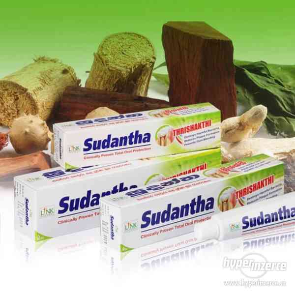 Ayurvédská bylinná zubní pasta Sudantha - balení 80 g - foto 2