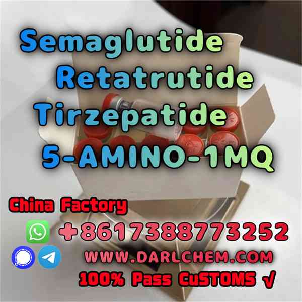 Semaglutide 5-AMINO-1MQ Retatrutide 910463-68-2  China Facto - foto 2