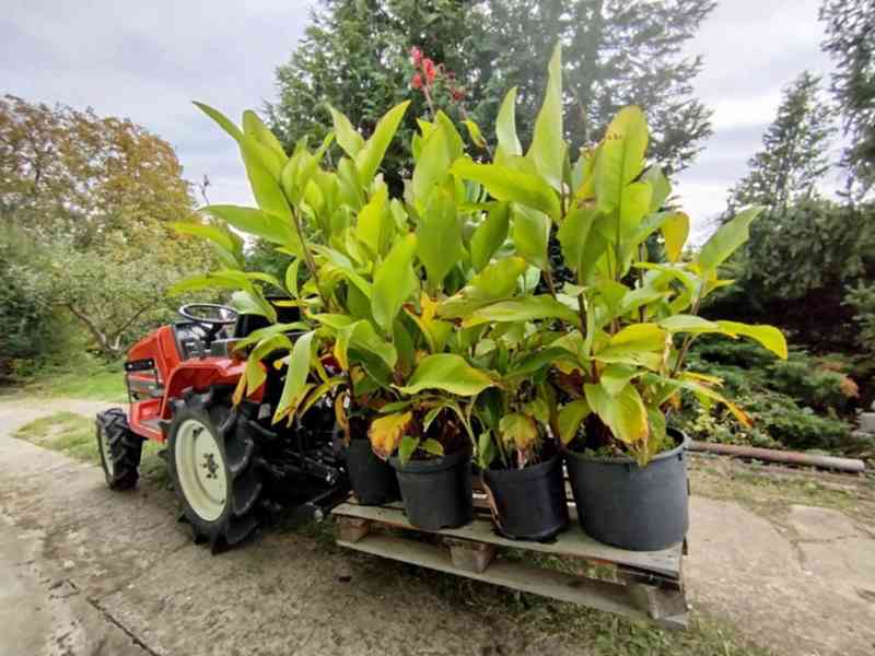 malotraktor Kubota Aste A-155, pouze  206 MTH  - foto 9