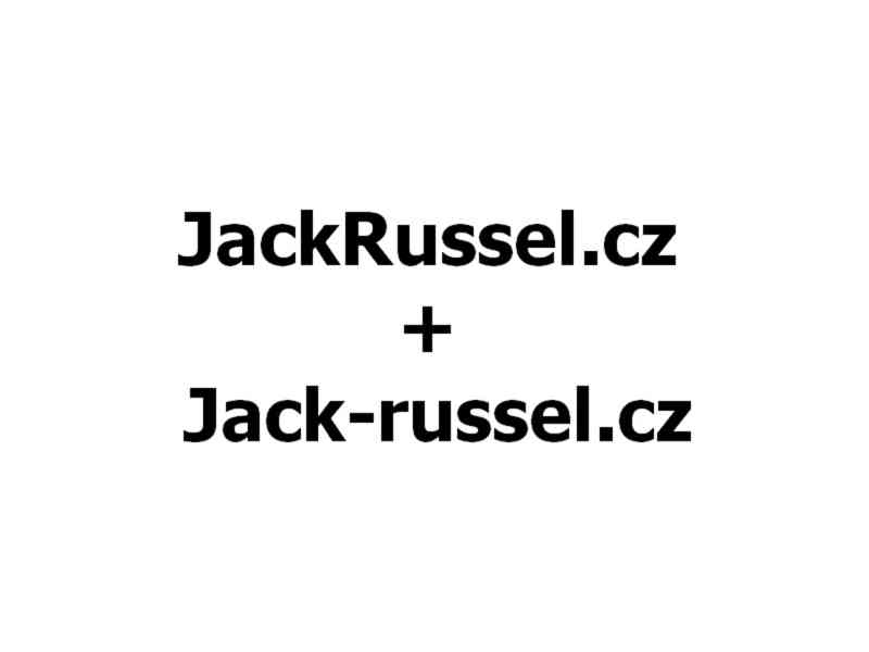 Jackrussel.cz + Jack-russel.cz - foto 2