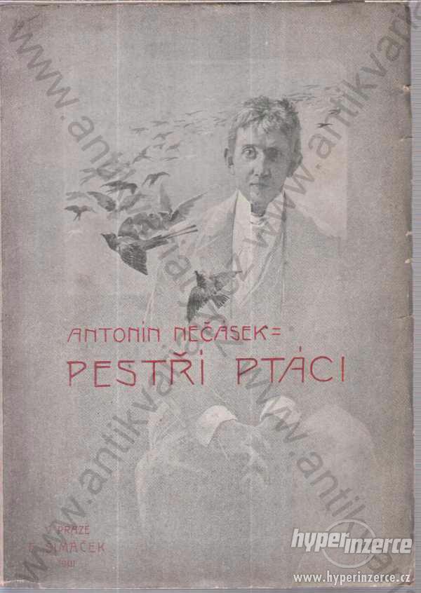 Pestří ptáci Antonín Nečásek 1901 - foto 1