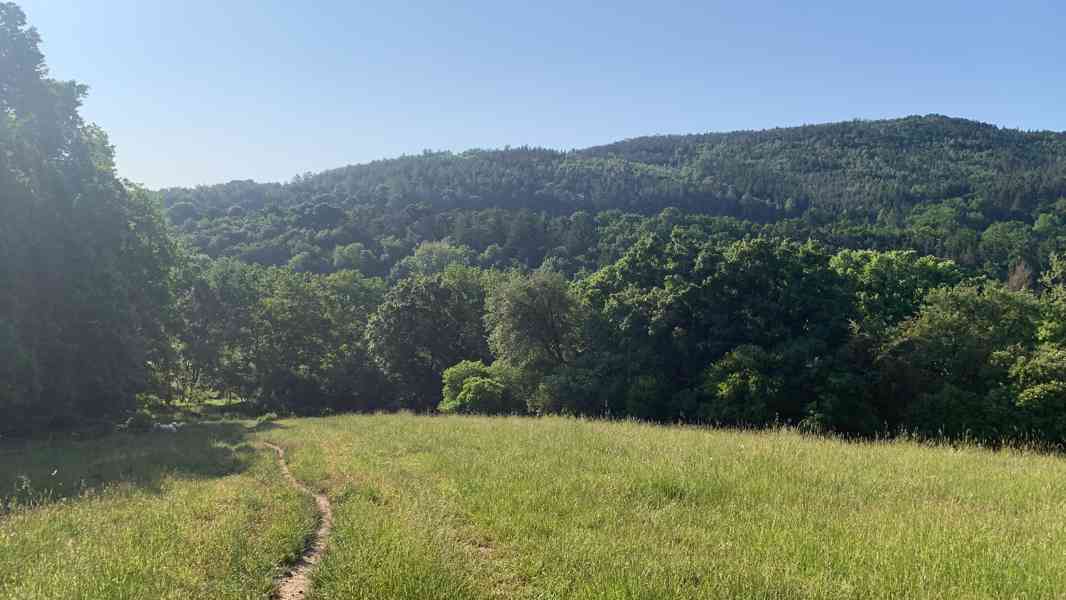 Pastevní ustájení koní – Nový Knín, 40 min z Prahy - foto 6