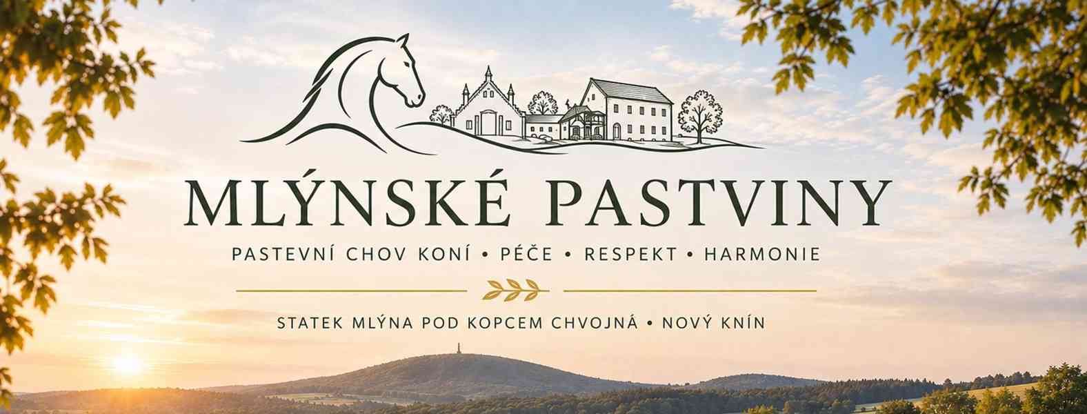 Pastevní ustájení koní – Nový Knín, 40 min z Prahy