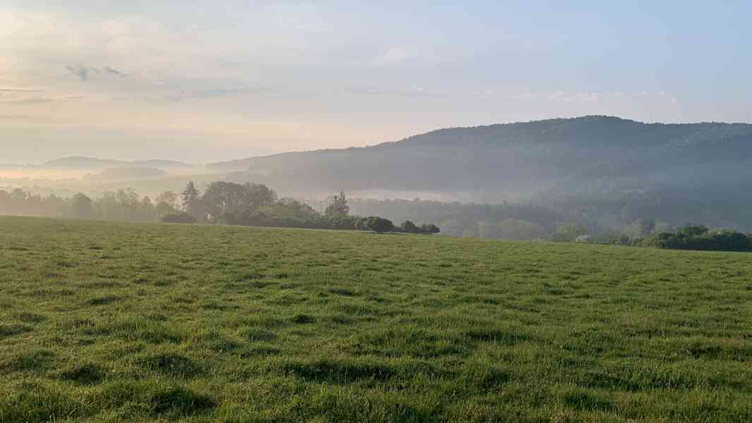 Pastevní ustájení koní – Nový Knín, 40 min z Prahy - foto 7
