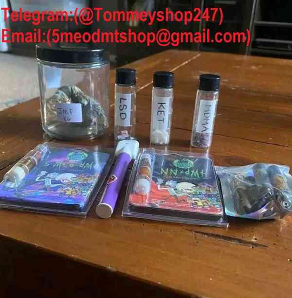email..dmt67440@gmail.com Buy DMT Vape pens in Australia