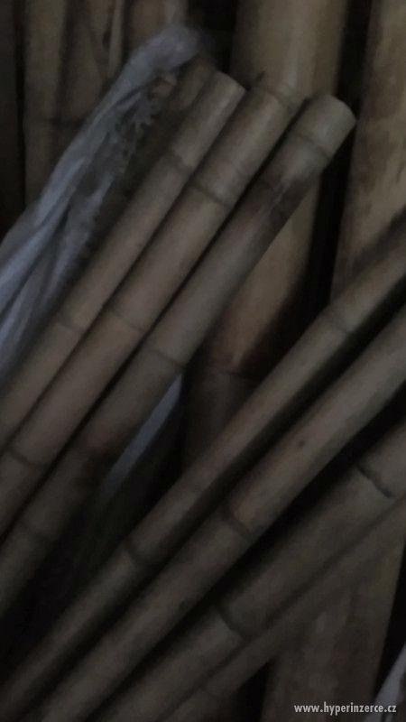 Bambusové tyče - foto 1