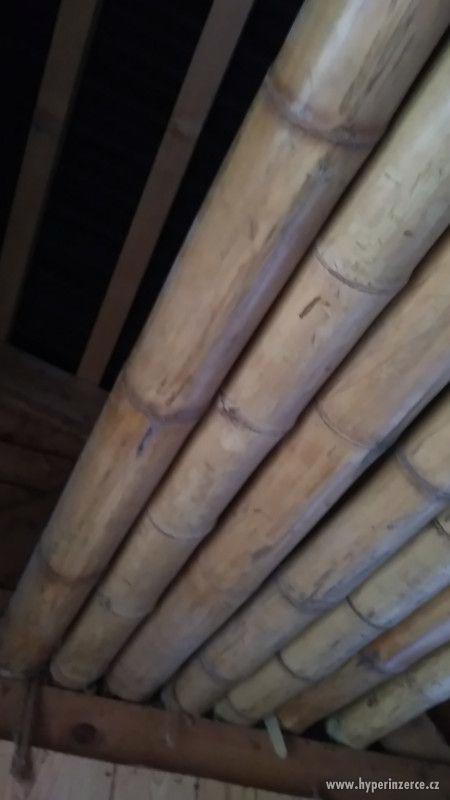 Bambusové tyče - foto 3