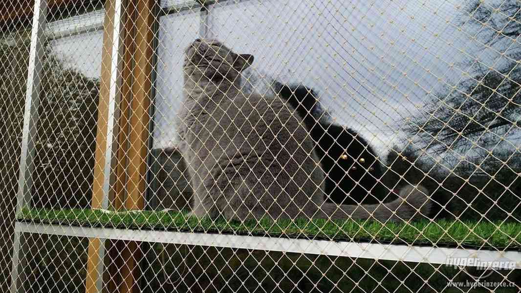 Ochranná síť pro kočky s hlin. rámem a umělou travou - foto 5
