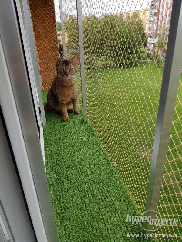 Ochranná síť pro kočky s hlin. rámem a umělou travou - foto 14