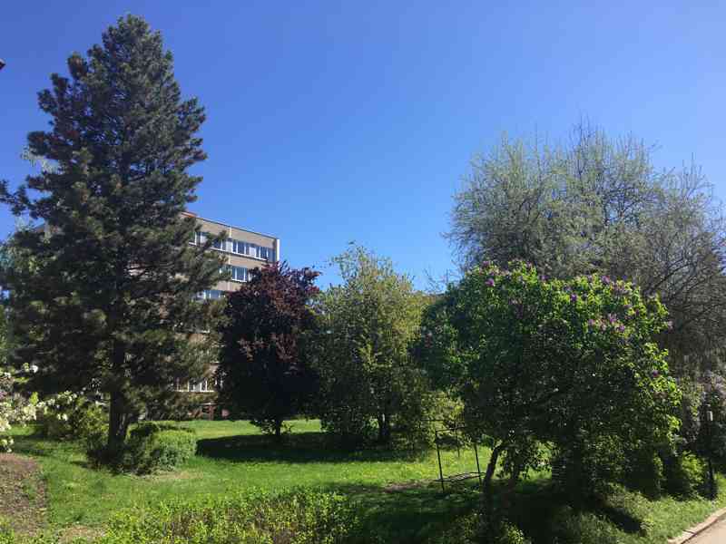 Pronájem bytu Dobruška, 3+1 • 79 m² - foto 28