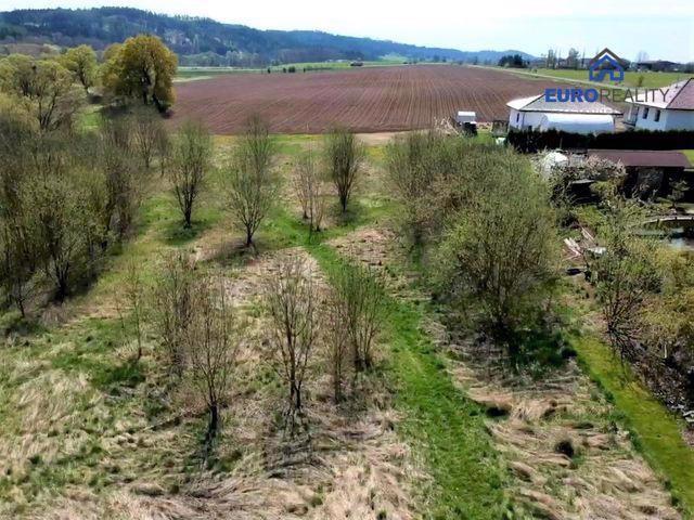 Prodej, stavební pozemek, 5800 m2, Planá u M. Lázní - foto 4