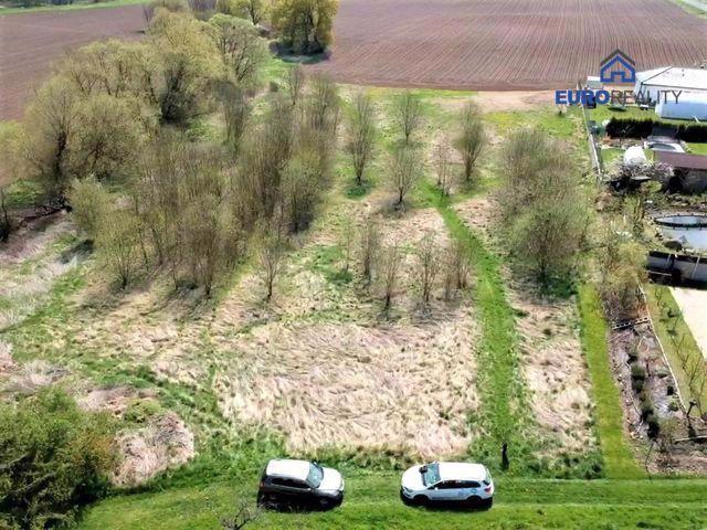 Prodej, stavební pozemek, 5800 m2, Planá u M. Lázní - foto 3