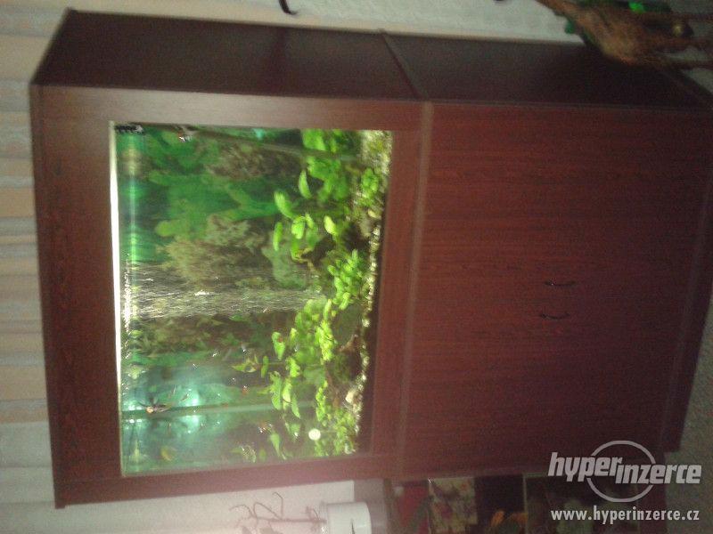 Prodám zabudované akvarium 250l s vybavenim - foto 1
