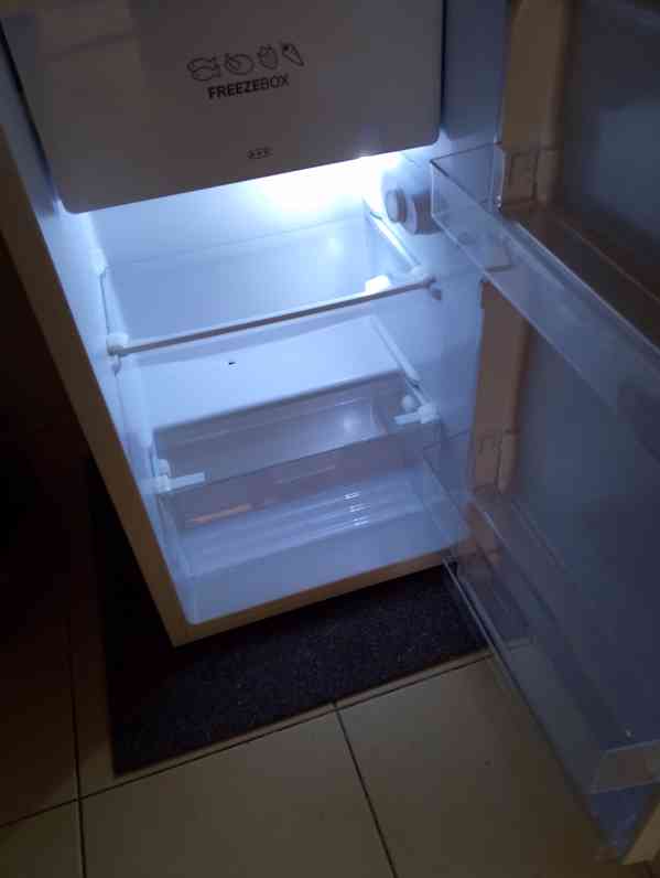 Lednice Mora  - foto 3