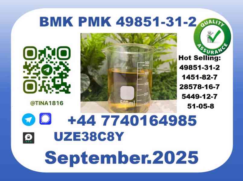 BMK PMK Oil，CAS 49851-31-2 - foto 2
