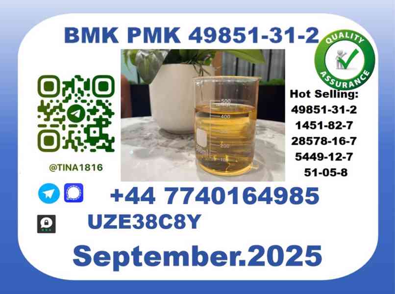 BMK PMK Oil，CAS 49851-31-2 - foto 3