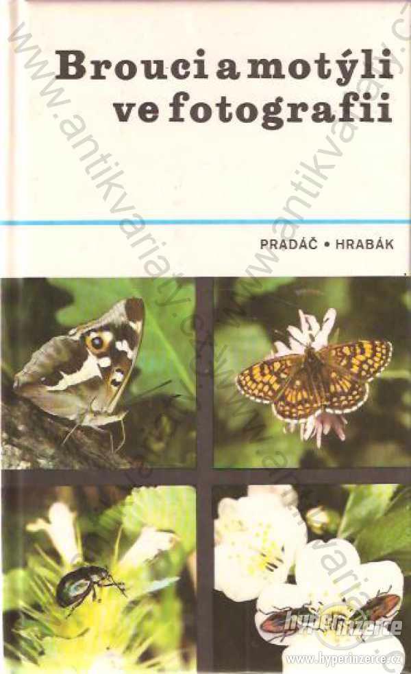 Brouci a motýli ve fotografii Pradáč/Hrabák 1982 - foto 1