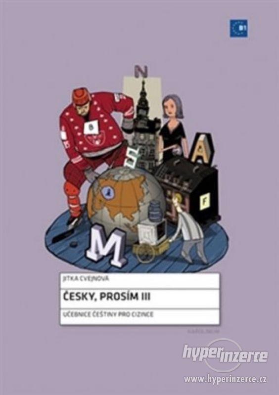 Pracovní sešit k učebnici češtiny - Česky, prosím III - foto 1