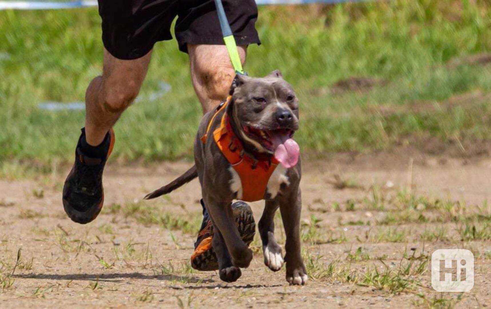 SERGIO - SPORTOVNÍ PARŤÁK - foto 1