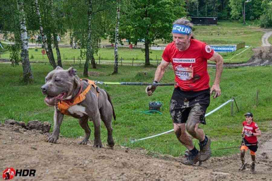 SERGIO - SPORTOVNÍ PARŤÁK - foto 3