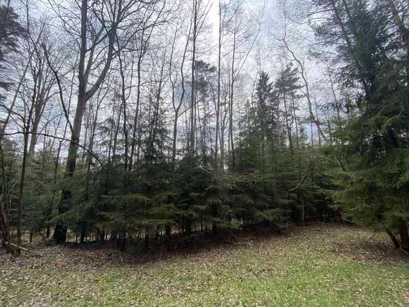 Pozemek ostatní plocha Brandlín - foto 5