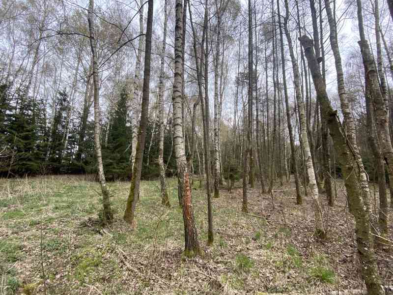 Pozemek ostatní plocha Brandlín - foto 9