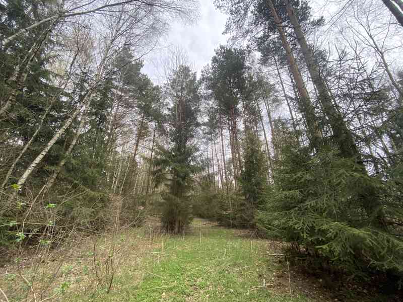 Pozemek ostatní plocha Brandlín - foto 10