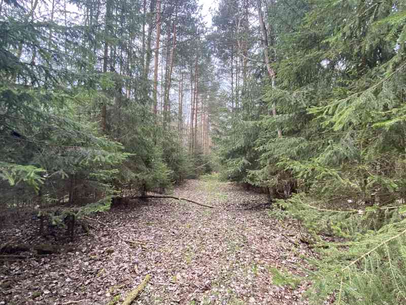 Pozemek ostatní plocha Brandlín - foto 3