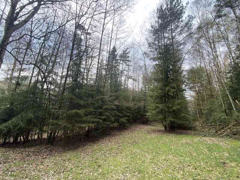 Pozemek ostatní plocha Brandlín - foto 2