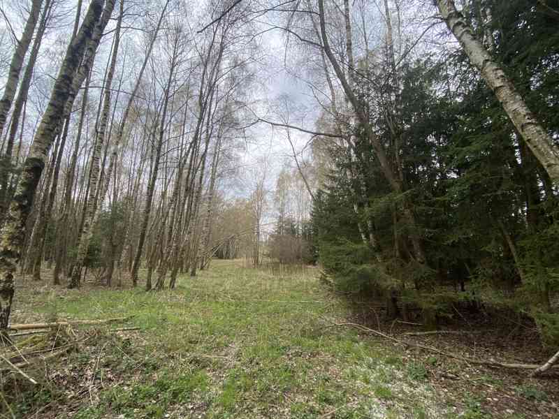 Pozemek ostatní plocha Brandlín - foto 8