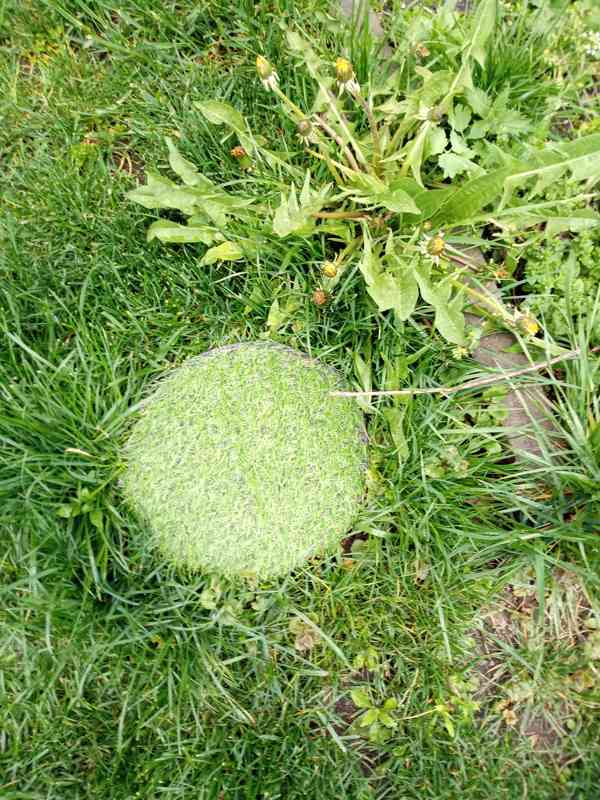 Pivní jeskyně , originální dárek pro muže. NOVÉ 20cm prumer - foto 7