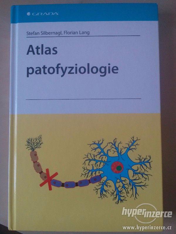 Atlas patofyziologie - foto 1