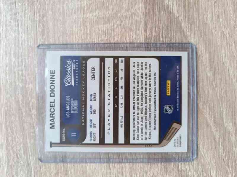 RC a auto karty Vejmelka, Vaneček, Dionne  - foto 6