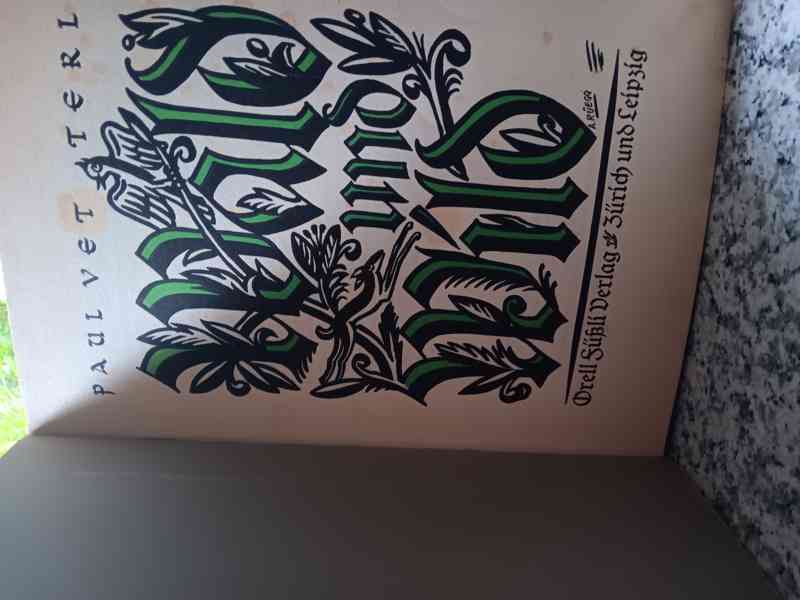 WALD UND WILD-P-VETTERLI - foto 4