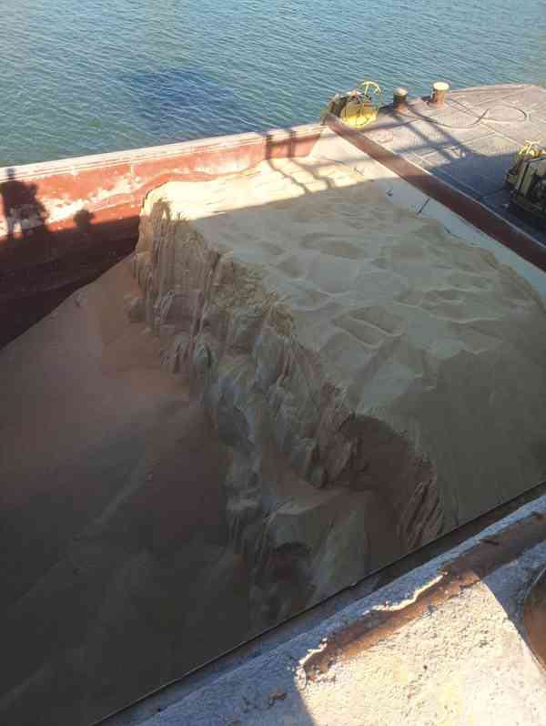 sójový šrot,sójovy pokrutiny,sójový olej - foto 17