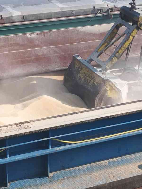 sójový šrot,sójovy pokrutiny,sójový olej - foto 12