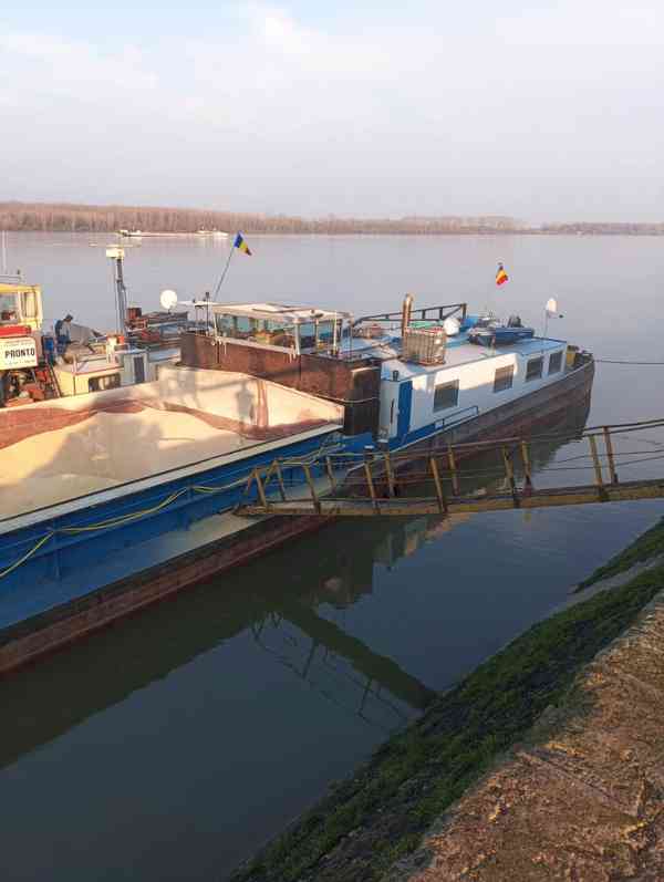 sójový šrot,sójovy pokrutiny,sójový olej - foto 14