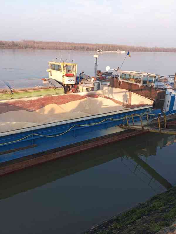 sójový šrot,sójovy pokrutiny,sójový olej - foto 13