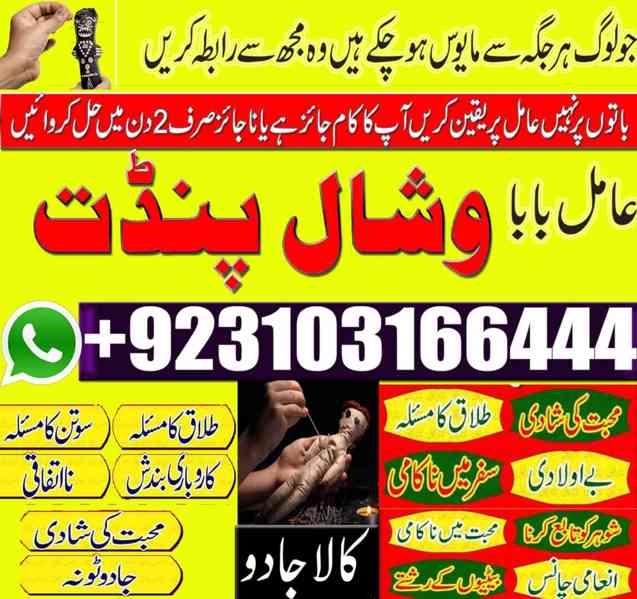 Amilbaba World No 1 amil baba astrologer +9231031666444 usa - foto 2