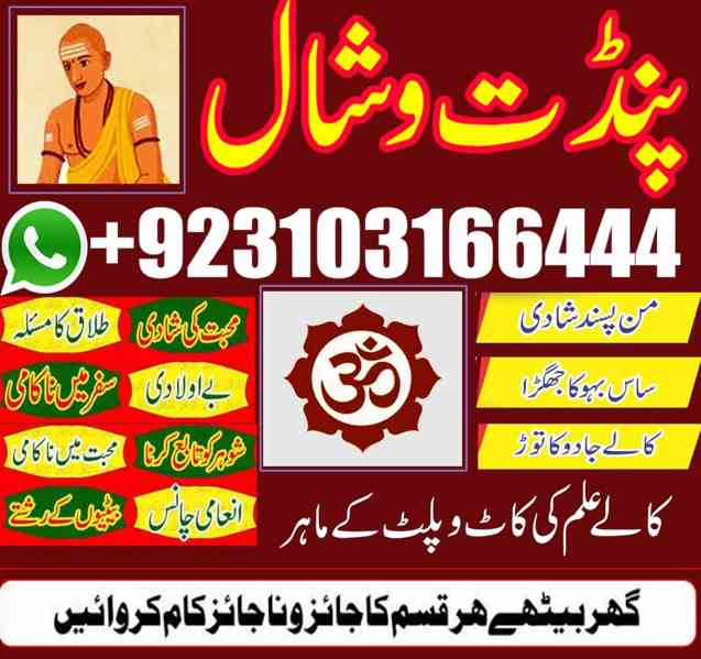 Amilbaba World No 1 amil baba astrologer +9231031666444 usa - foto 3